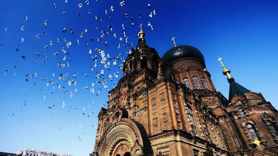 Однодневная экскурсия по Харбину: Центральная улица, Софийский собор, Мемориальная башня по борьбе с наводнениями и памятник Советской Красной Армии