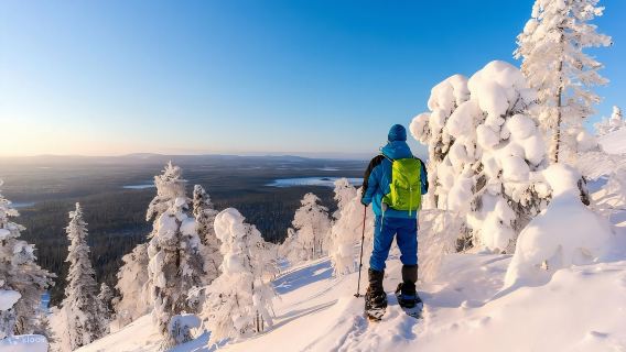 芬蘭+羅瓦涅米+聖誕長者郵局一日遊/行程可調-可定制多日