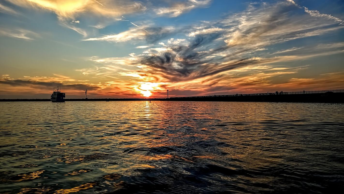 LA's Most Romantic Luxury Wine & Dine Boat Cruise & Sealions