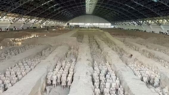 Emperor Qinshihuang's Mausoleum Site Museum Terracotta Warriors English guide service