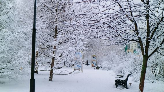 俄羅斯莫斯科-卡洛明斯科婭莊園-察裡津公園-私享定制遊
