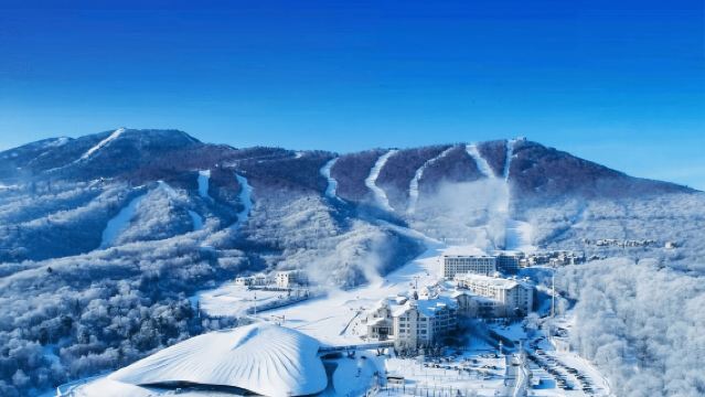 亞布力雪鄉小團|馬拉爬犁+大禿頂子山+冰雪畫廊純玩無購物