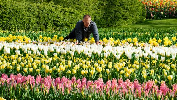 Amsterdam: Visita alla Fattoria dei Tulipani, Keukenhof e Crociera ai Mulini a Vento