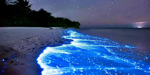 福建福州平潭島一日遊【上門接送+純玩包車+多地出發】