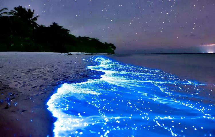 福建福州平潭島一日遊【上門接送+純玩包車+多地出發】