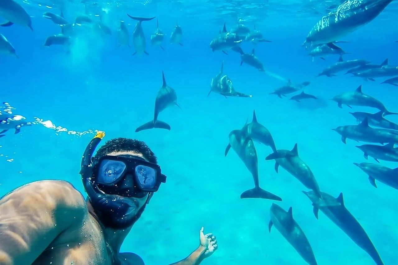 Swimming with Dolphins and Banana Boat Sea Trip Day Experience - Hurghada