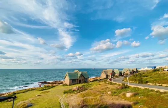金石灣藝術園區門票 + 咖啡成人