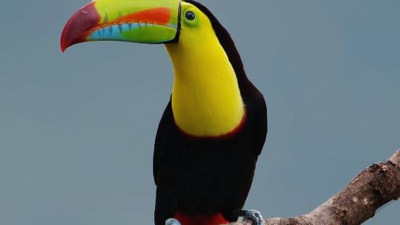 Escursione alla Riserva di Curi-Cancha