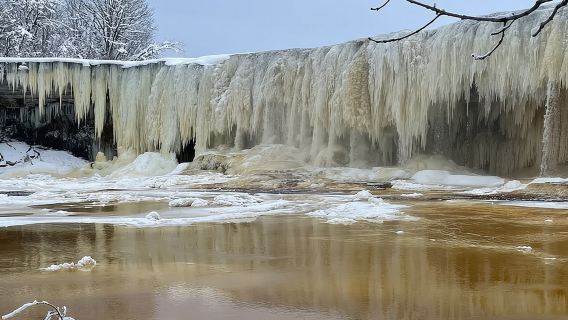 Day Trip to Lahemaa National Park