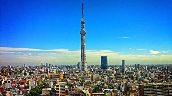 Private Memorable Tokyo Tour with English Speaking Driver