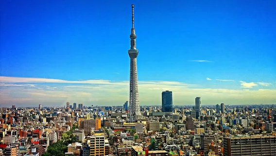 Private Memorable Tokyo Tour with English Speaking Driver