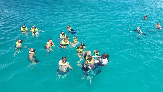 Pengembaraan Snorkel Penyu dan Kapal Karam Barbados