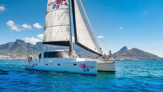 Champagne Cruise (Pre-Sunset) from Cape Town