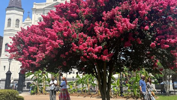 New Orleans