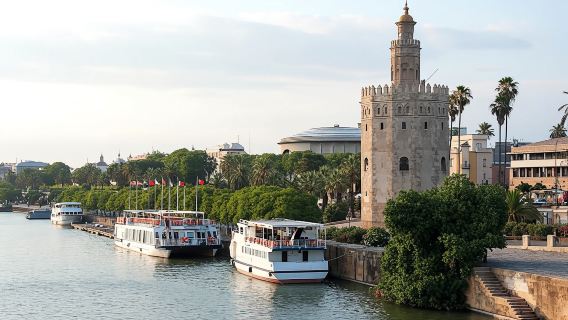 Seville full-day trip from Granada