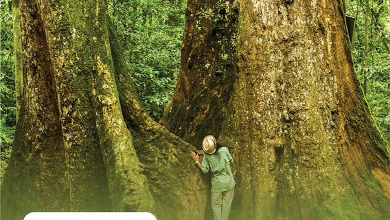 Discover Cuc Phuong National Park full-day tour from Ha Noi