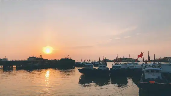 【精品小團】嵊泗洋山島+東海大橋+洋山深水港一日遊看海品海鮮