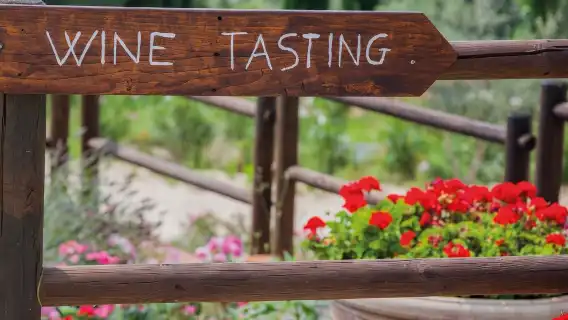 ทัวร์วันเดียว/ทัวร์หลายวัน ในทัสคานี อิตาลี [ซานจิมิกนาโน + โรงกลั่นไวน์ + เมืองแก้ว] ไป-กลับ จากฟลอเรนซ์