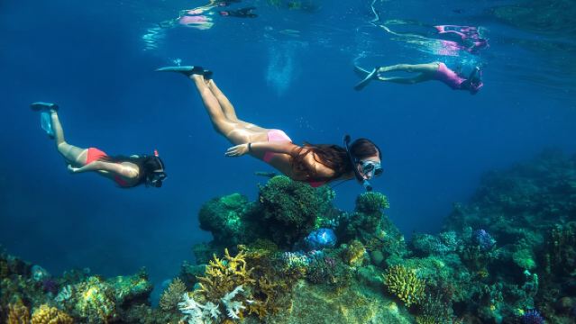 キャプテン・クック・クルーズ・フィジー - アイランド＆リーフ・デイクルーズ