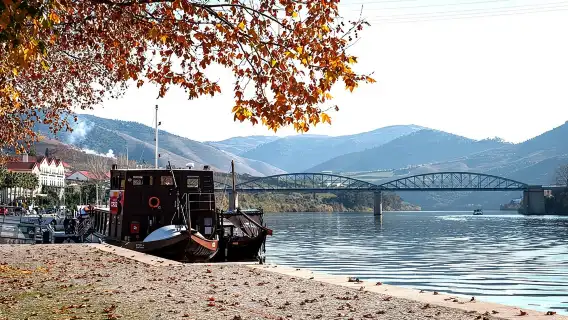 Authentic Small Group Douro Wine Tour with Lunch & River Cruise