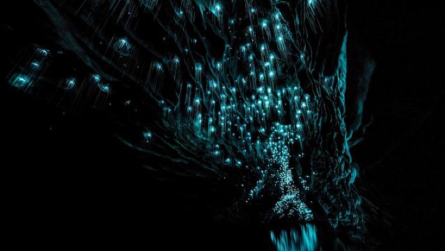 オークランド発 ホビット村＆ワイトモ洞窟ガイドツアー（昼食付き）