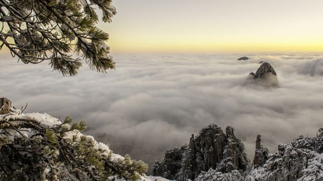 黃山風景區＋雲谷索道1日遊