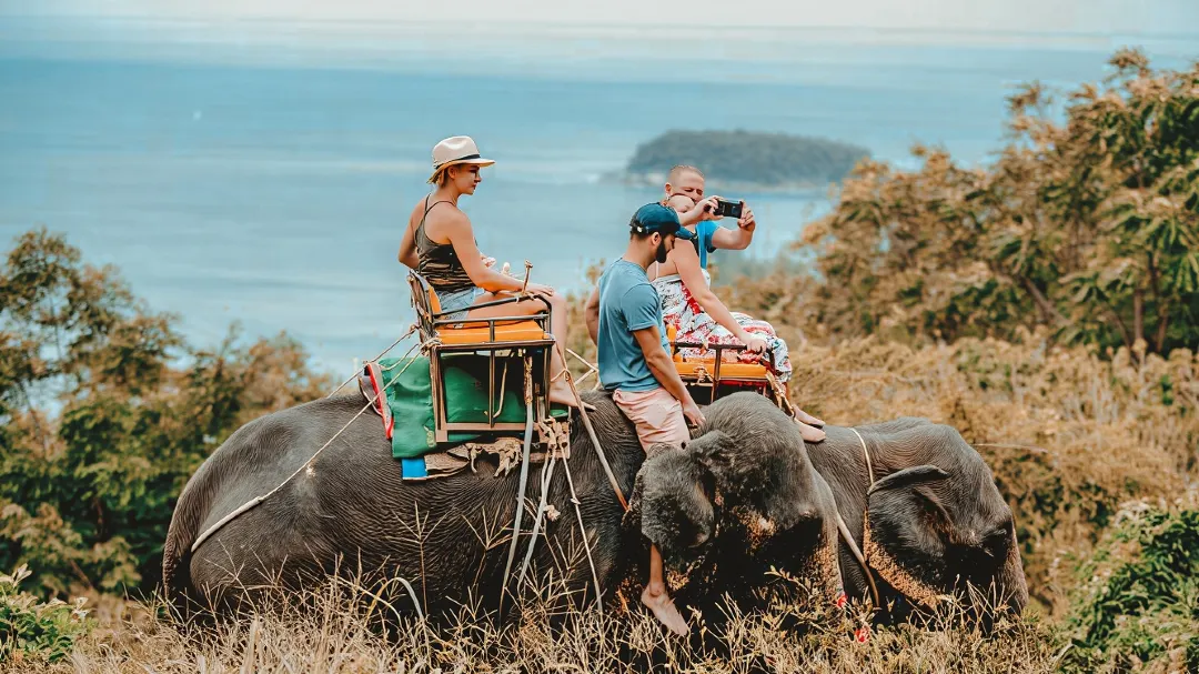 エレファント キャンプ