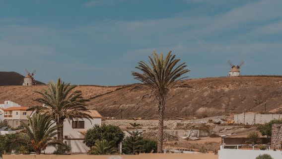 เกาะฟูเอร์เตเวนตูราตอนเหนือ: ทัวร์ 4 ชั่วโมงสำหรับผู้โดยสารเรือสำราญ – กลุ่มเล็ก (สูงสุด 6 คน)