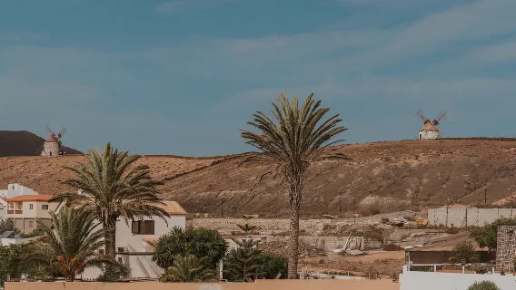 Northern Fuerteventura: 4-hour tour for cruise passengers – small group (max 6)