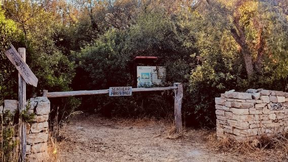 Lecce: e-bike tour in the Salento countryside with a traditional lunch