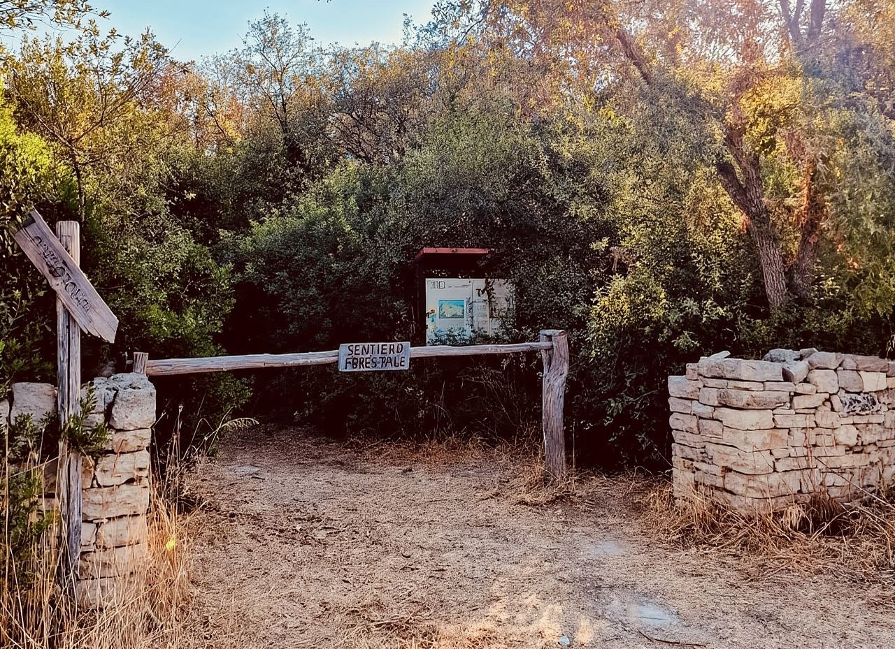 Lecce: e-bike tour in the Salento countryside with a traditional lunch