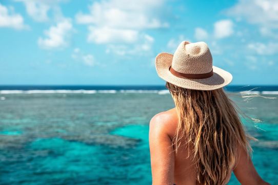 Port Douglas: Outer Barrier Reef Snorkel and Dive Options