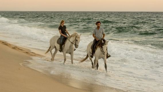 Melides: Horse Riding on the Beach with Wine Tasting