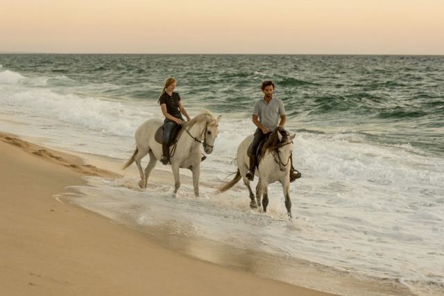 Melides: Horse Riding on the Beach with Wine Tasting