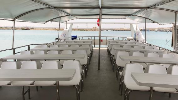 Da Palermo: crociera giornaliera a Favignana e Levanzo con pranzo