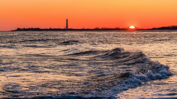 Cape May : croisière d'observation des dauphins au coucher du soleil avec dégustations de vins en option