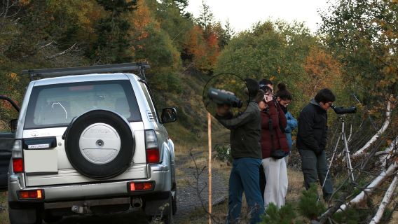 ทัวร์ 4×4 ของหุบเขาอารัน - สัตว์ป่า พืชพรรณ และทิวทัศน์เทือกเขา