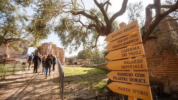 Tivoli: Entrance Ticket to Villa Adriana & App Audioguide
