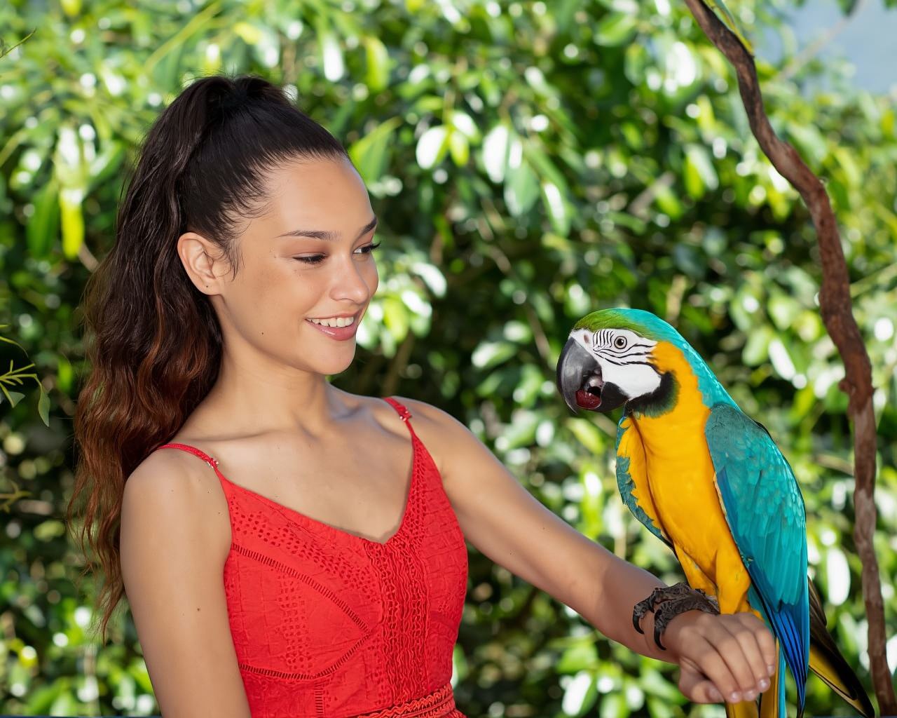 Friends in the Rainforest Package: Koala Gardens & Birdworld