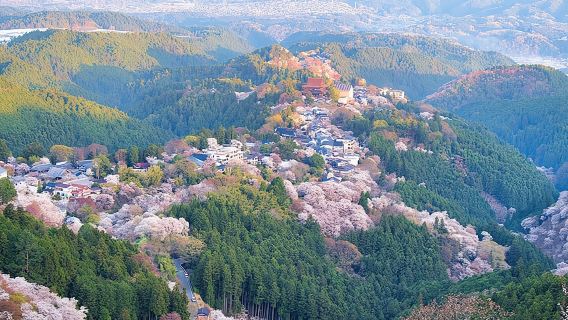 Randonnée guidée historique et naturelle à Yoshino