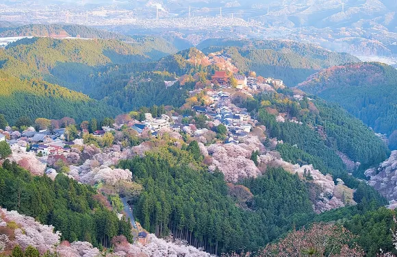 吉野町歷史與自然導覽遠足