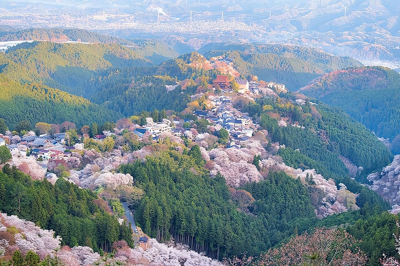 Escursione guidata storica e naturalistica a Yoshino