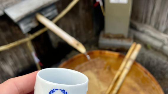 Segreti nascosti di Fushimi Inari: sentieri di bambù e villaggio del sakè