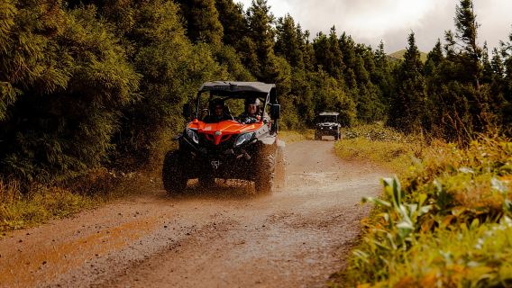 Sao Miguel: Buggy Tour Around Sete Cidades Volcano