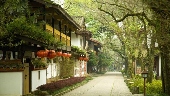 Wuyishan World Cultural and Natural Heritage Private Tour 2-Day