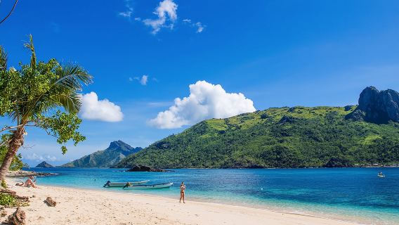Île de Kuata, Fidji - Excursion d'une journée : observation des requins en apnée, rencontre avec les requins de récif, plongée sous-marine (certifiée)
