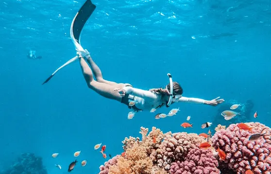 芭堤雅沙美島4島/5島跳島浮潛 出海海釣/傘拖/水上電單車