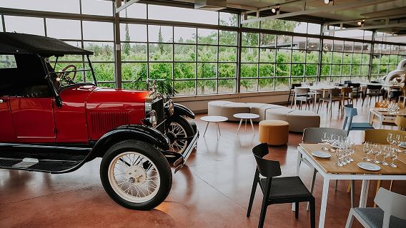 Bouza Weinproben und Tapas (Espa, Eng, Port)