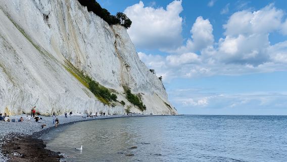 Møns klint and The Forest tower - A day tour from Copenhagen