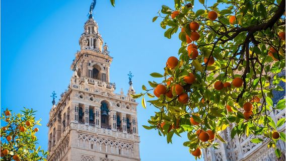 Siviglia: visita guidata della Cattedrale e della Giralda con biglietti
